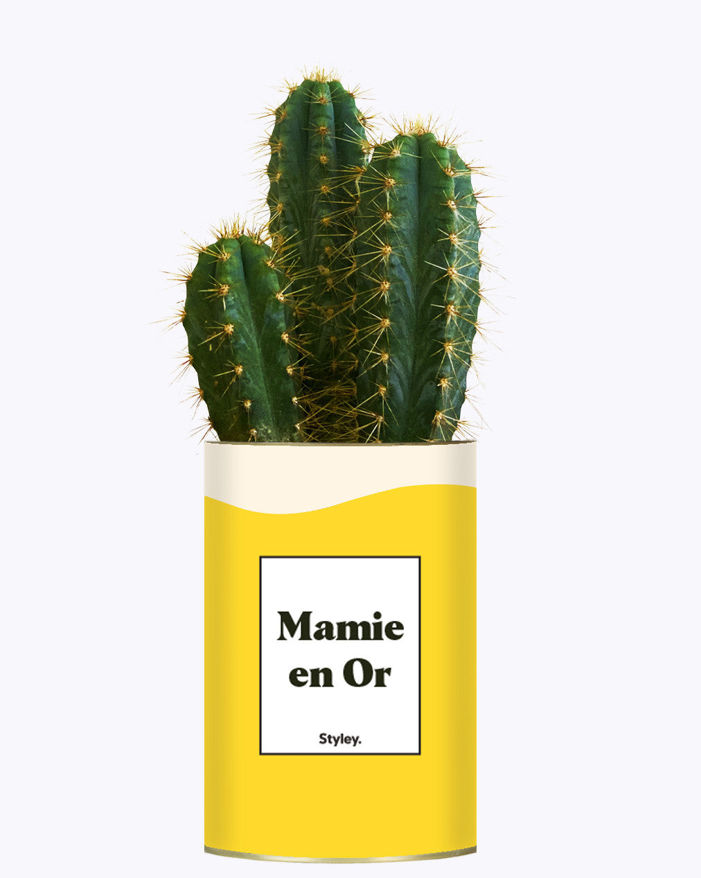 Mamie en Or - Cactus