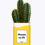 Mamie en Or - Cactus