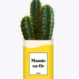 Mamie en Or - Cactus