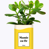Mamie en Or - Cactus