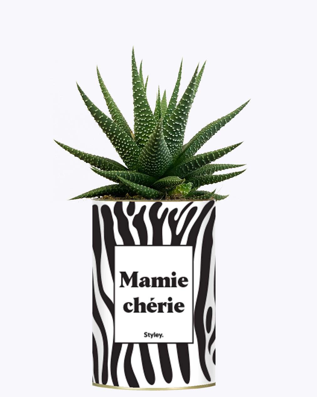 Mamie chérie - Cactus