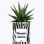 Mamie chérie - Cactus
