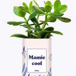 Mamie cool - Cactus