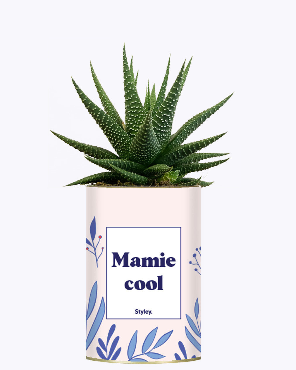 Mamie cool - Cactus
