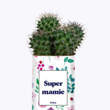 Super mamie - Cactus