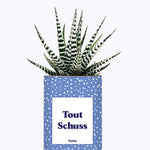 Tout Schuss - Cactus