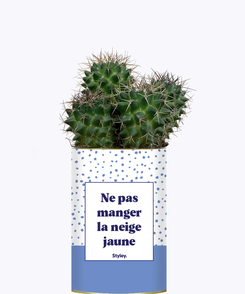 Ne pas manger la neige jaune - Cactus