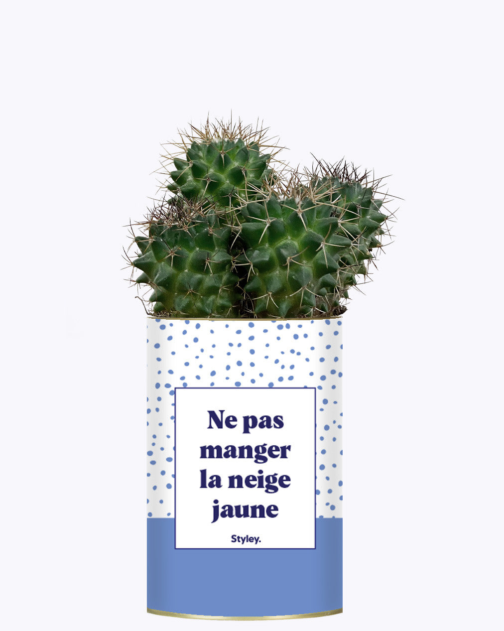 Ne pas manger la neige jaune - Cactus