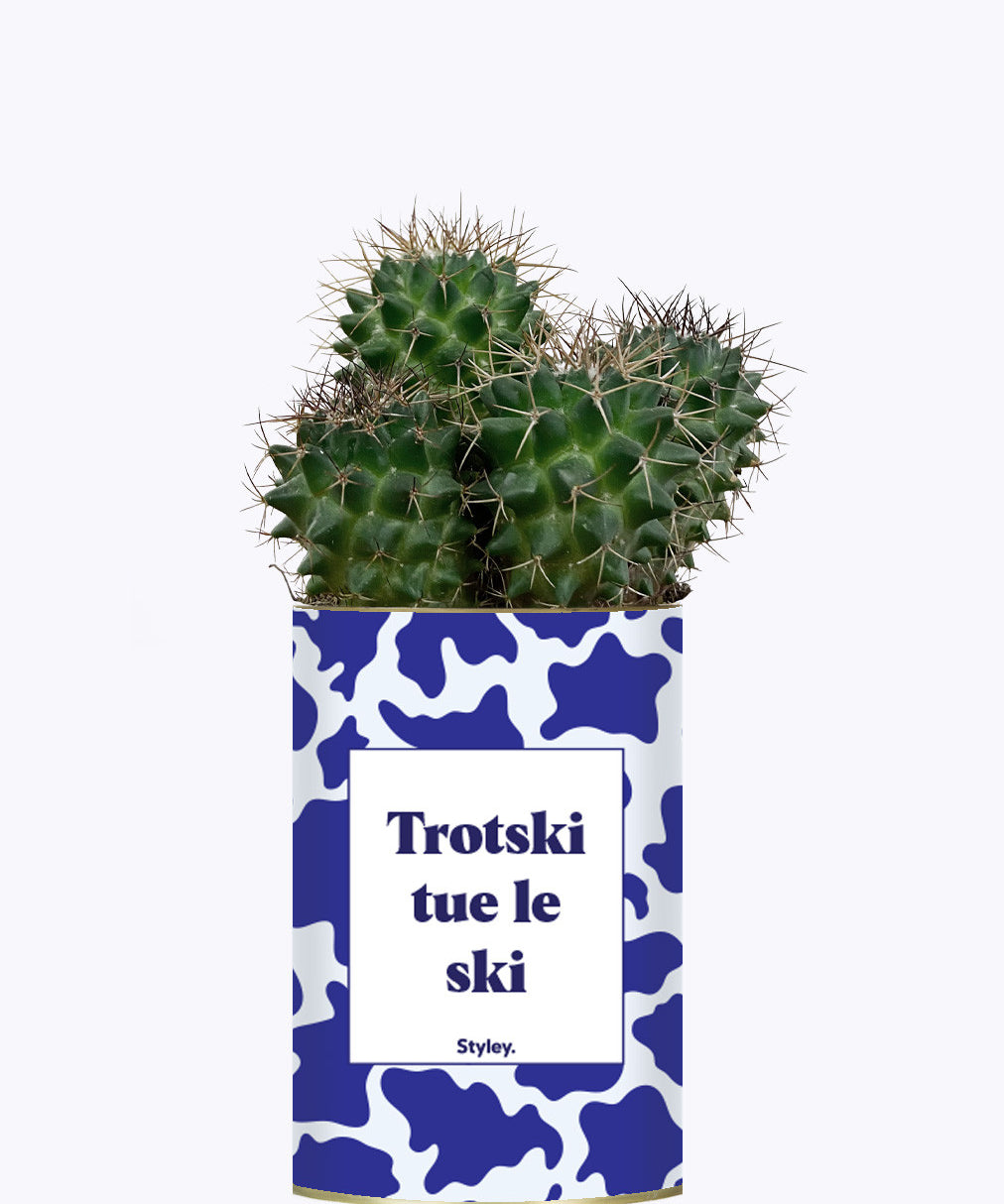 Trotski tue le ski - Cactus