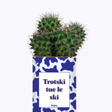 Trotski tue le ski - Cactus