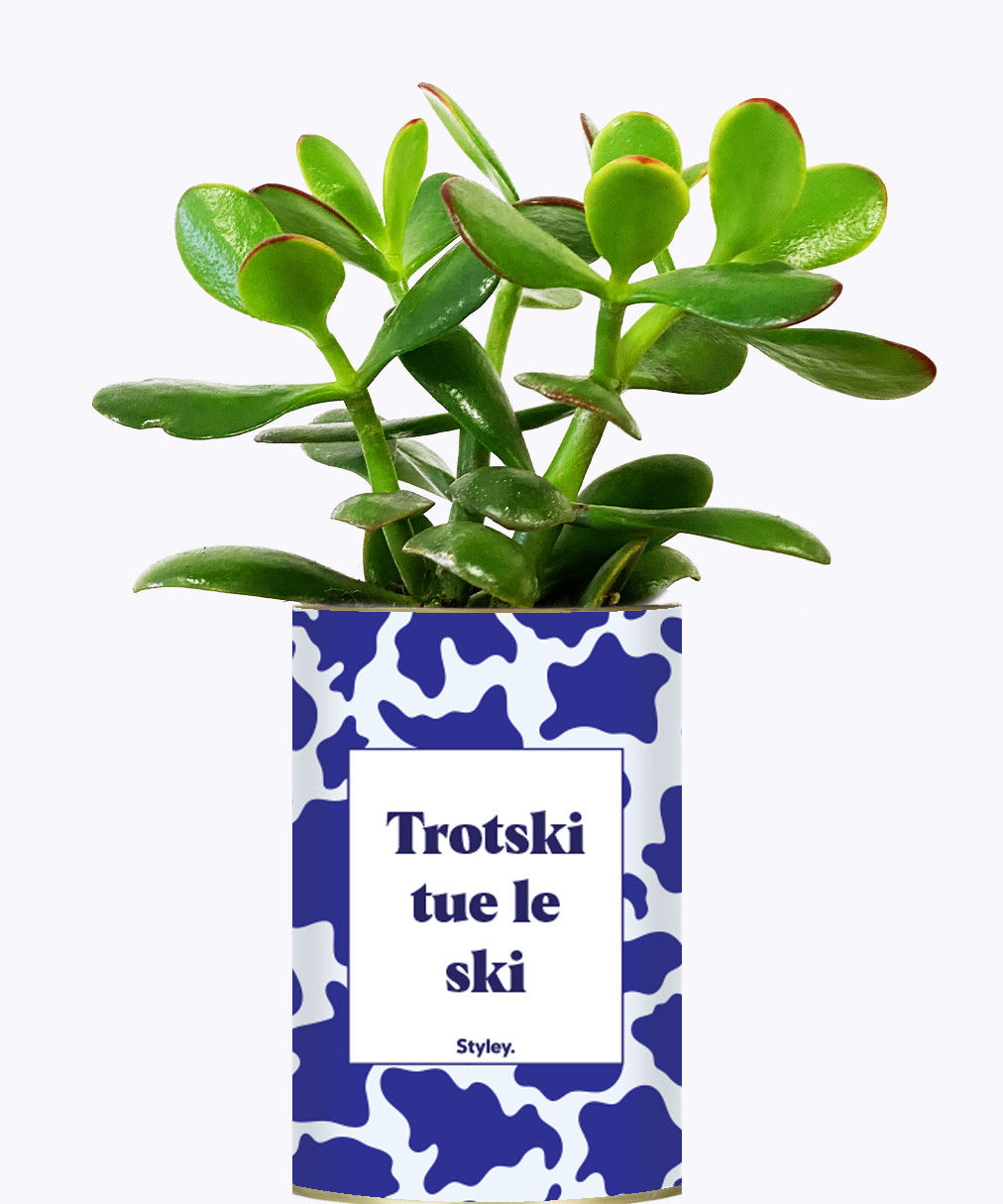 Trotski tue le ski - Cactus