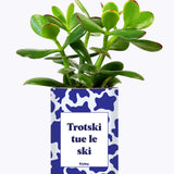 Trotski tue le ski - Cactus