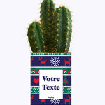 Plante de Noël Personnalisable - Cactus