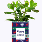 Plante de Noël Personnalisable - Cactus