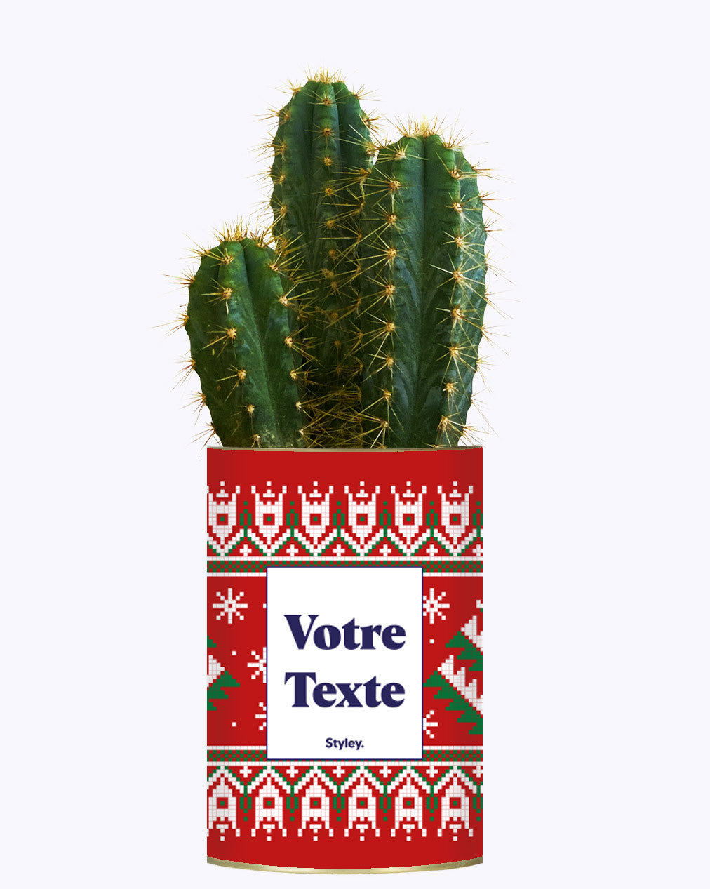 Mon cactus moche de Noël personnalisable - Cactus