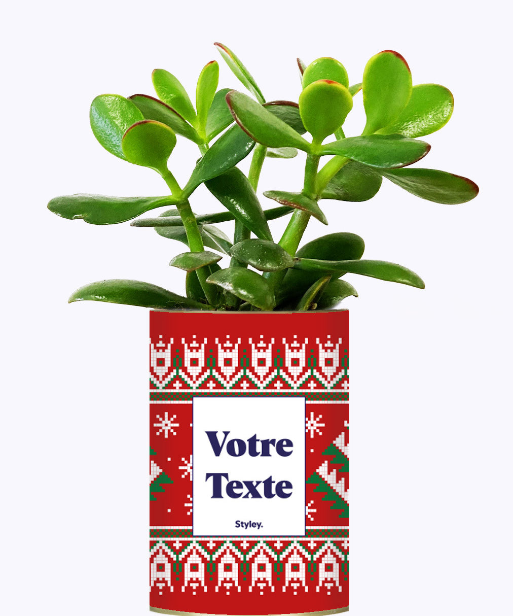 Mon cactus moche de Noël personnalisable - Cactus
