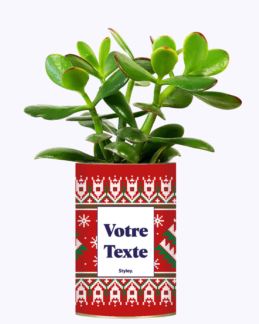 Mon cactus moche de Noël personnalisable - Cactus