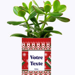 Mon cactus moche de Noël personnalisable - Cactus
