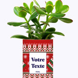 Mon cactus moche de Noël personnalisable - Cactus