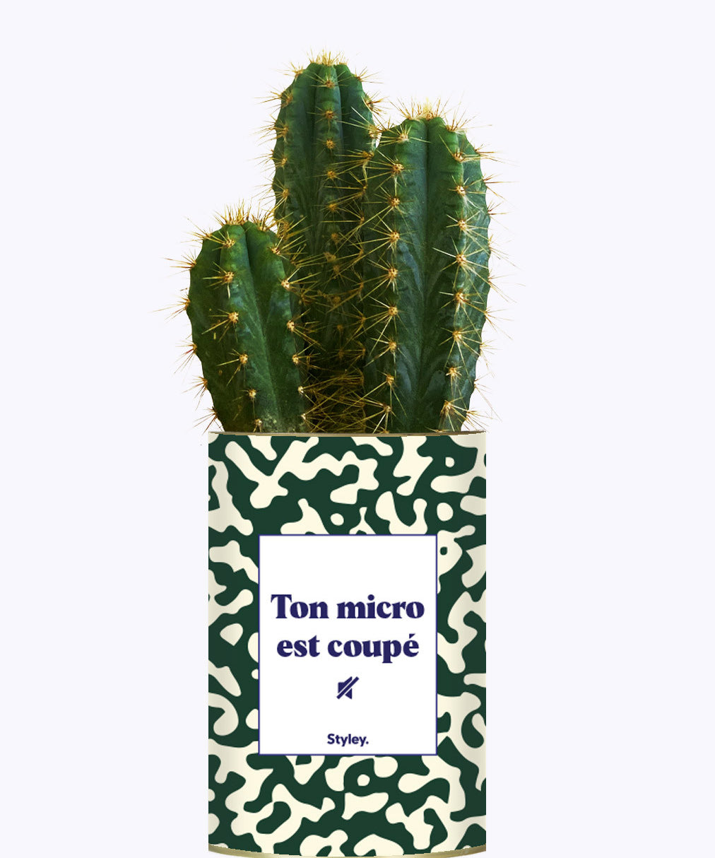 Ton micro est coupé - Cactus