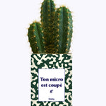 Ton micro est coupé - Cactus