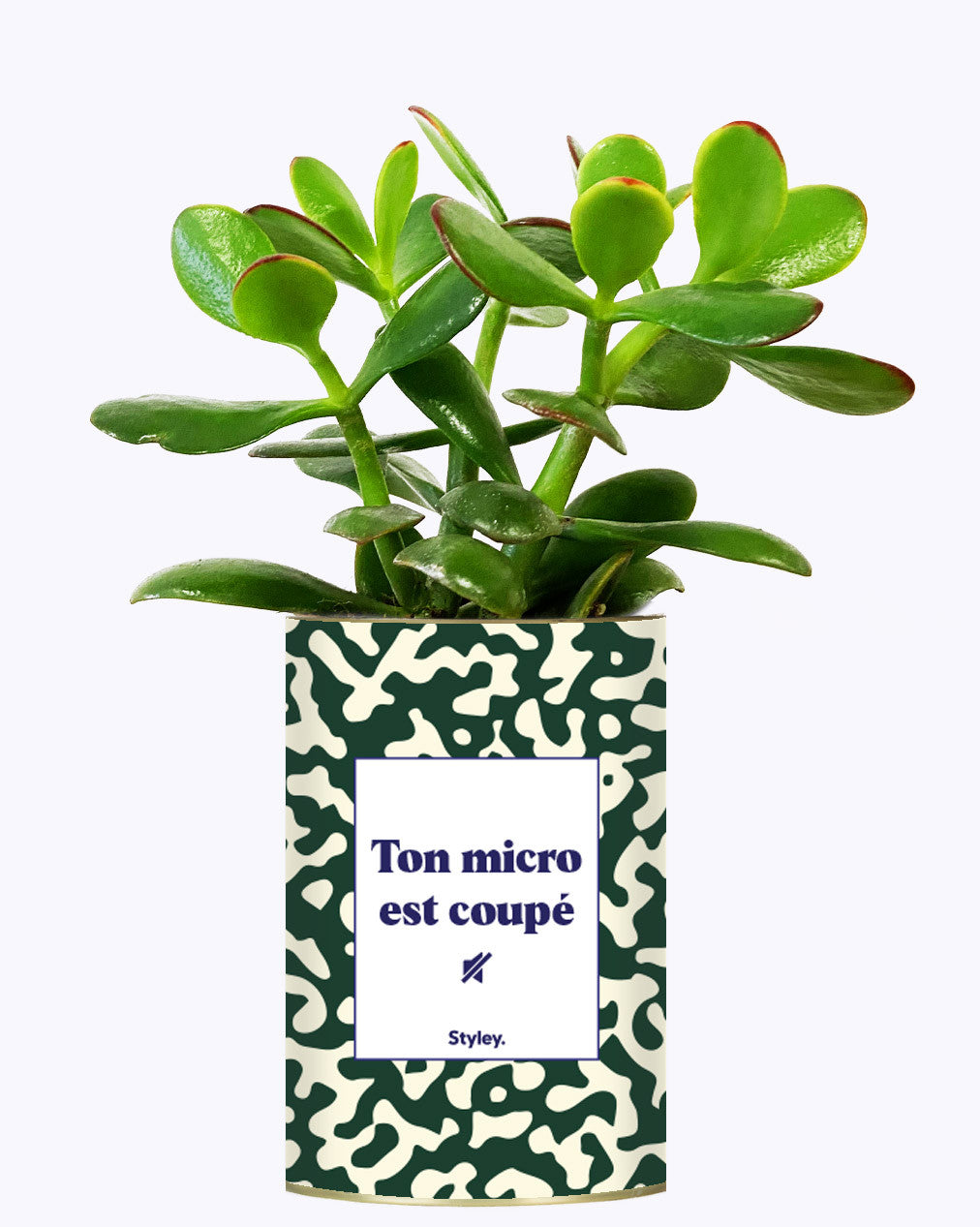 Ton micro est coupé - Cactus