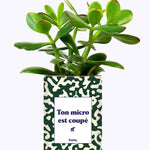 Ton micro est coupé - Cactus