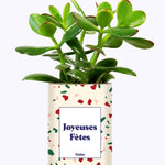 Joyeuses Fêtes - Cactus