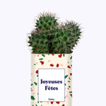 Joyeuses Fêtes - Cactus
