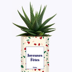 Joyeuses Fêtes - Cactus