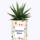 Joyeuses Fêtes - Cactus