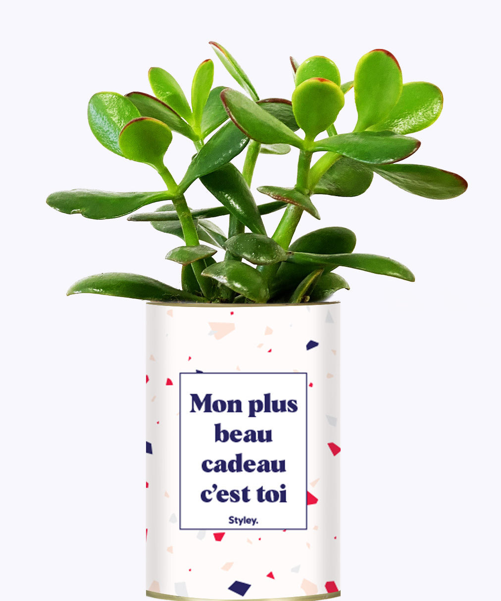 Mon plus beau cadeau c'est toi - Cactus