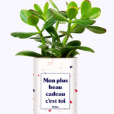 Mon plus beau cadeau c'est toi - Cactus