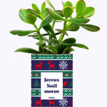 Joyeux Noël Morue - Cactus