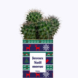 Joyeux Noël Morue - Cactus