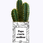 Papa c'est le meilleur - Cactus