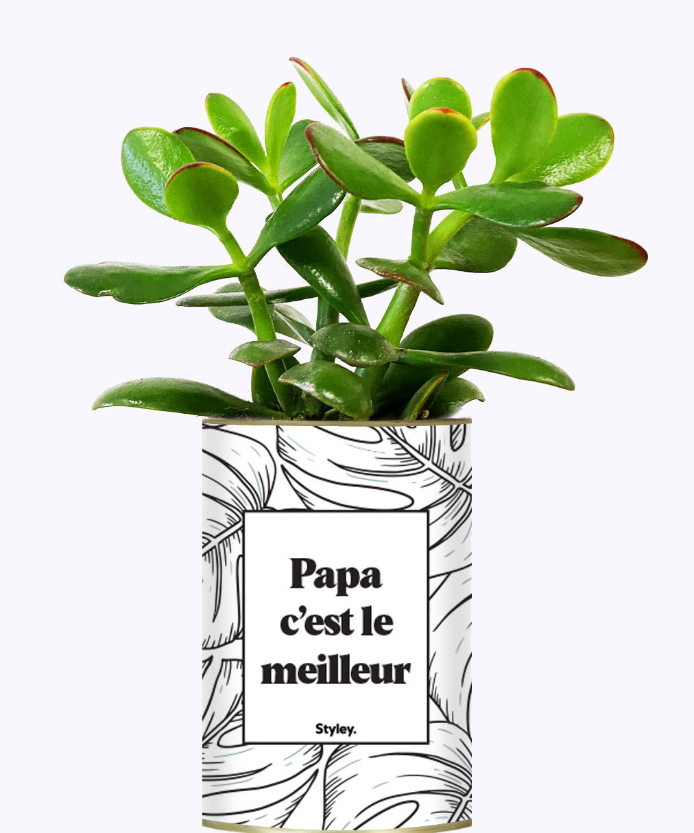 Papa c'est le meilleur - Cactus