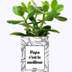 Papa c'est le meilleur - Cactus
