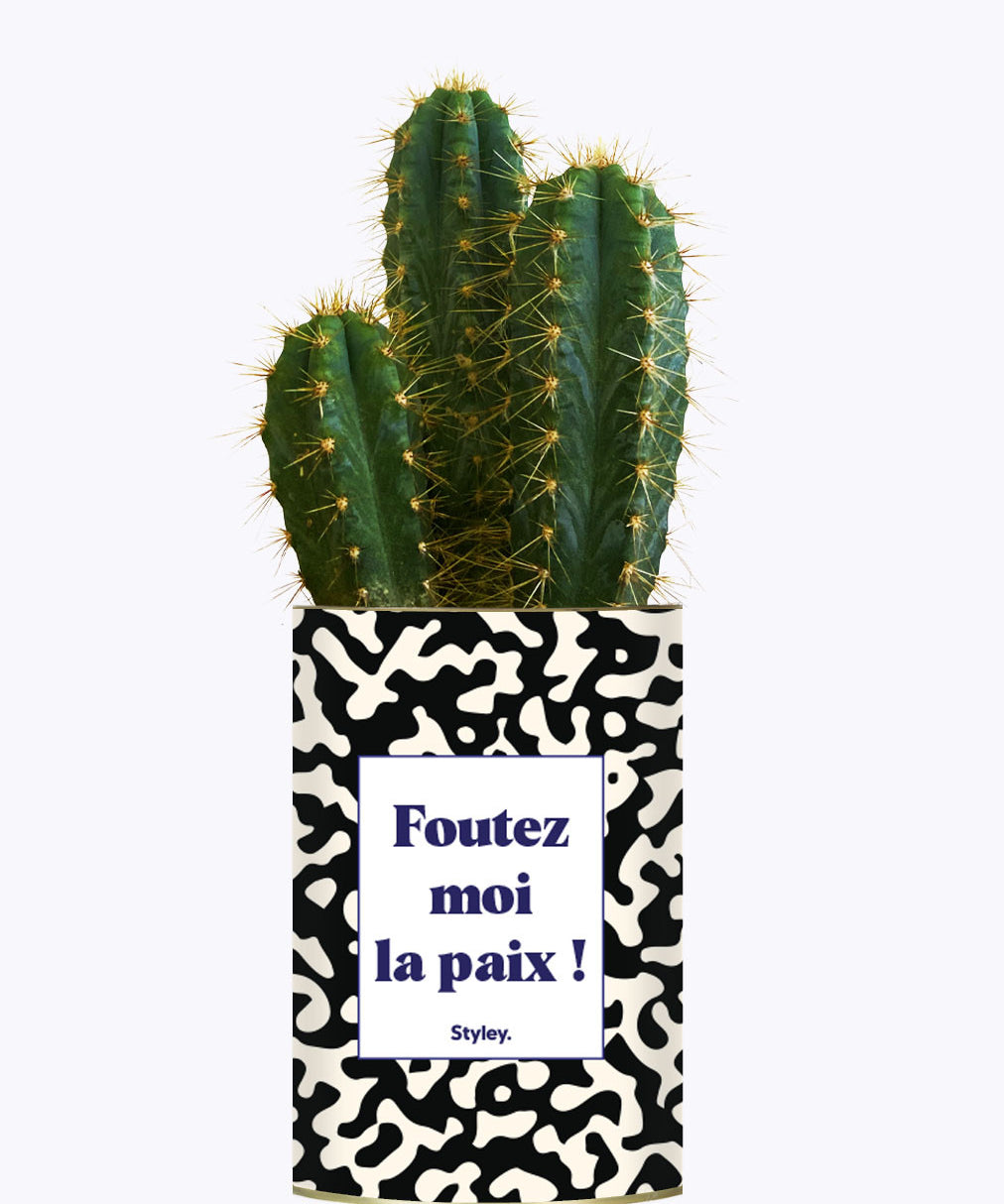 Foutez moi la paix  - Cactus