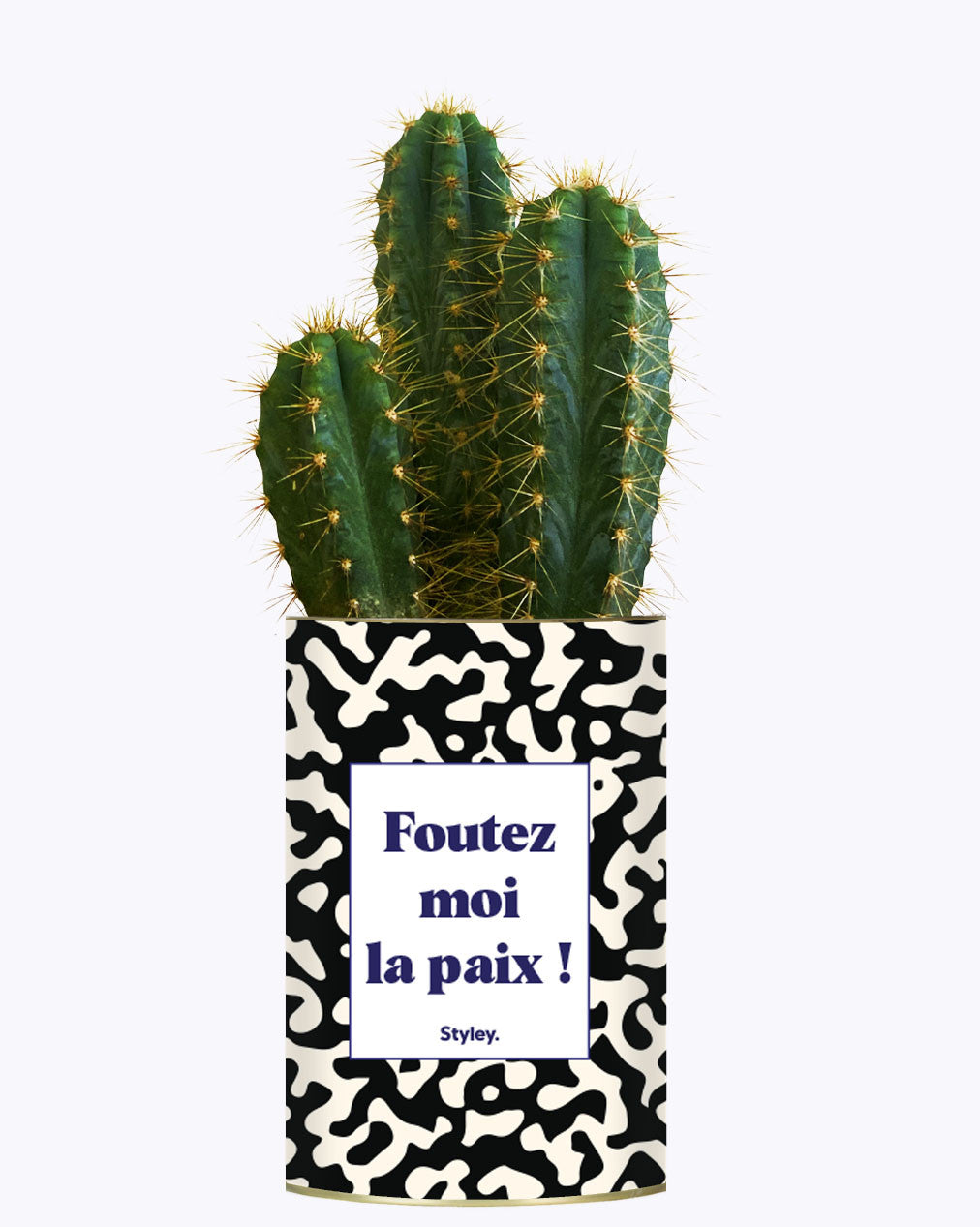 Foutez moi la paix  - Cactus