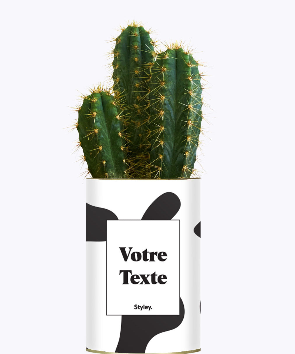 Cactus vache - Personnalisable