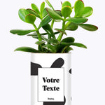 Cactus vache - Personnalisable