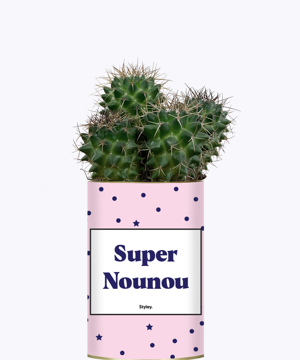 Super Nounou - Cactus