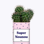 Super Nounou - Cactus