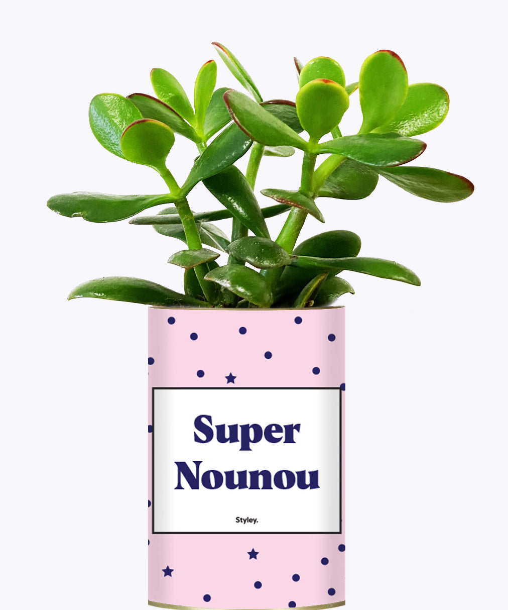 Super Nounou - Cactus