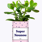 Super Nounou - Cactus