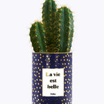 La vie est belle - Cactus - Finitions Gold