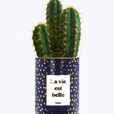 La vie est belle - Cactus - Finitions Gold