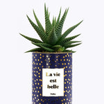 La vie est belle - Cactus - Finitions Gold