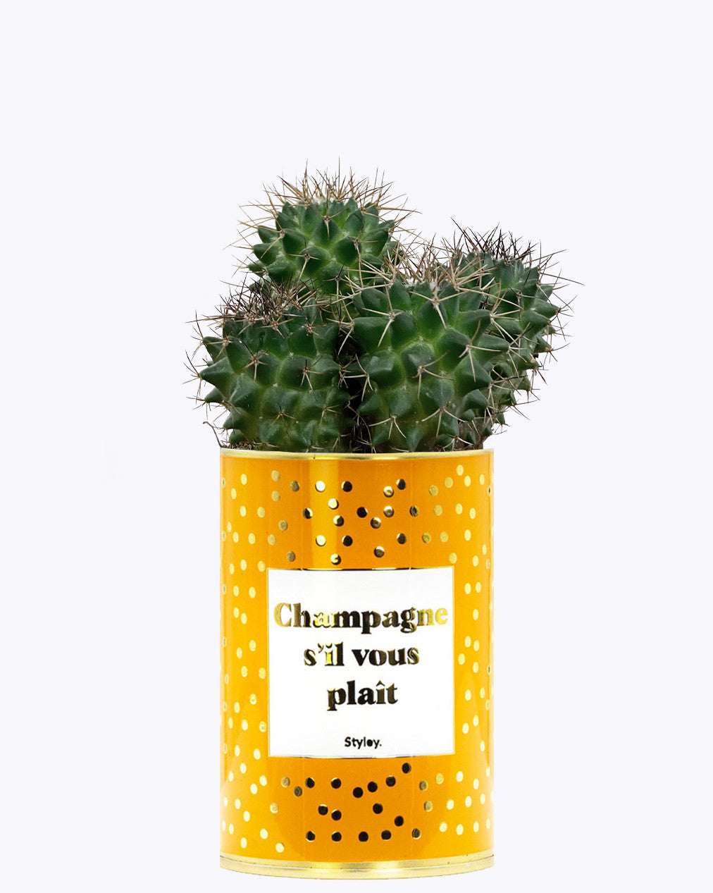 Champagne s'il vous plaît - Cactus - Finitions gold